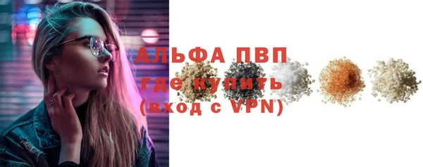 стафф Михайловск