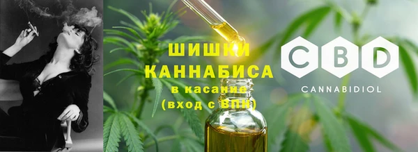 стафф Михайловск