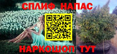 стаф Абакан