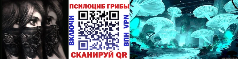хочу наркоту  Люберцы  Псилоцибиновые грибы Magic Shrooms 