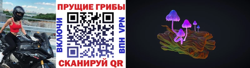 Галлюциногенные грибы Psilocybe Люберцы