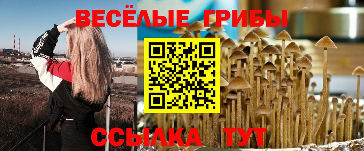 Псилоцибиновые грибы MAGIC MUSHROOMS  Вход с VPN  купить наркотики сайты  Псилоцибиновые грибы GOLDEN TEACHER  Люберцы 