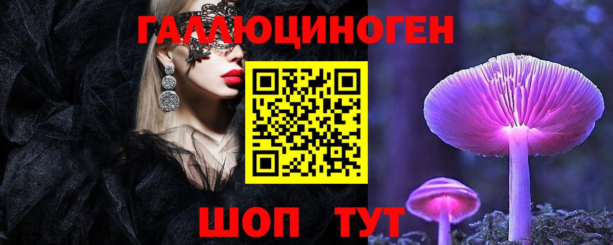 Псилоцибиновые грибы GOLDEN TEACHER Люберцы