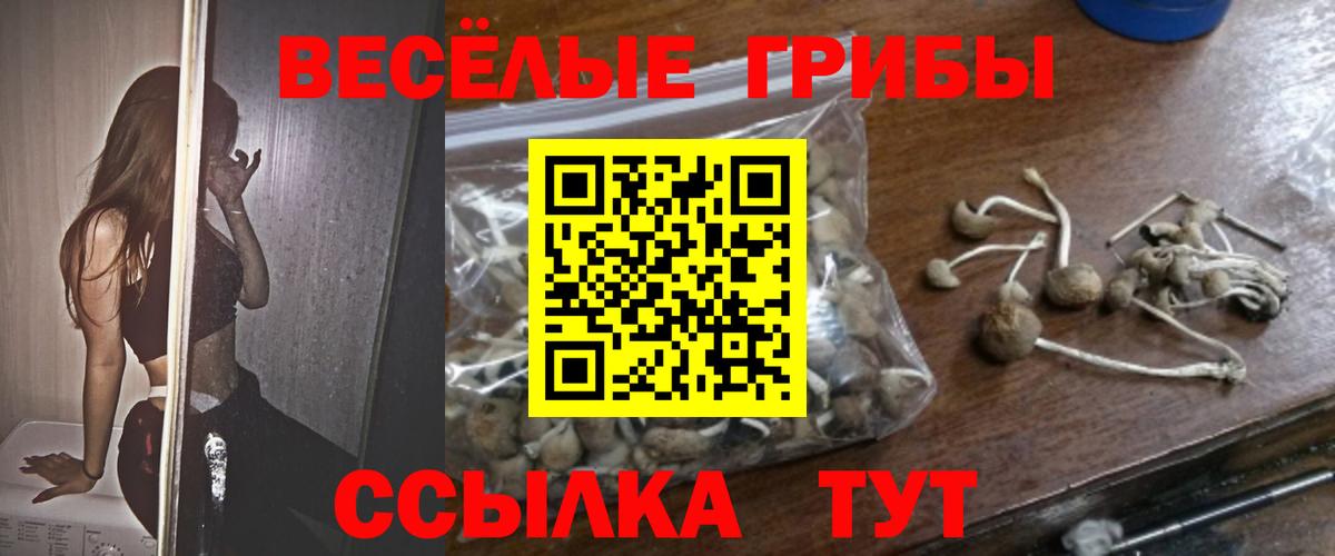 Псилоцибиновые грибы ЛСД  Псилоцибиновые грибы ЛСД  Люберцы  Вход с VPN 