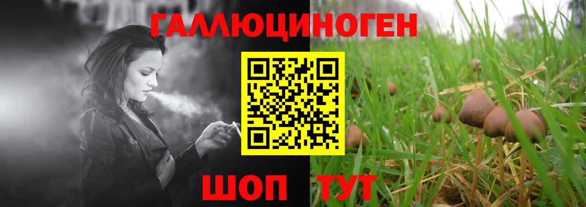 Псилоцибиновые грибы мухоморы Люберцы